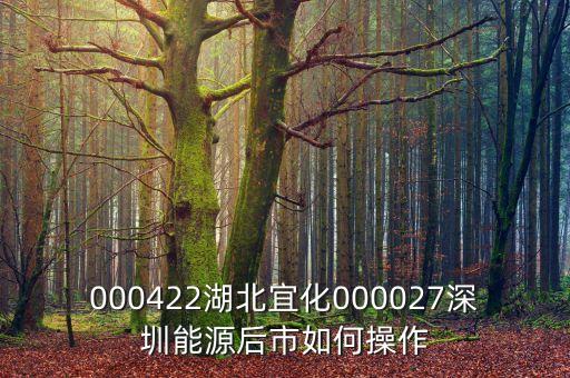 000027之前名什么，000422湖北宜化000027深圳能源后市如何操作