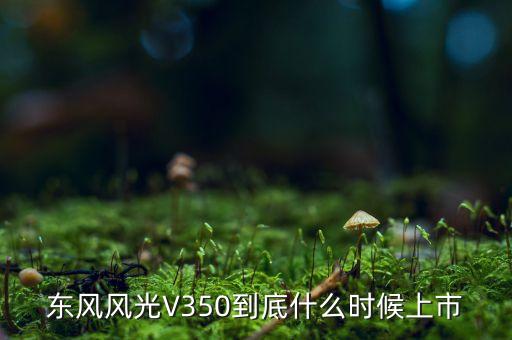 東風風光V350到底什么時候上市