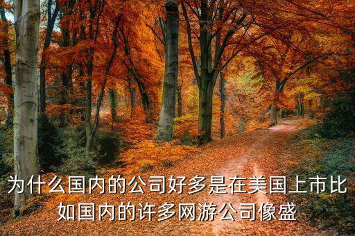 為什么國(guó)內(nèi)的公司好多是在美國(guó)上市比如國(guó)內(nèi)的許多網(wǎng)游公司像盛