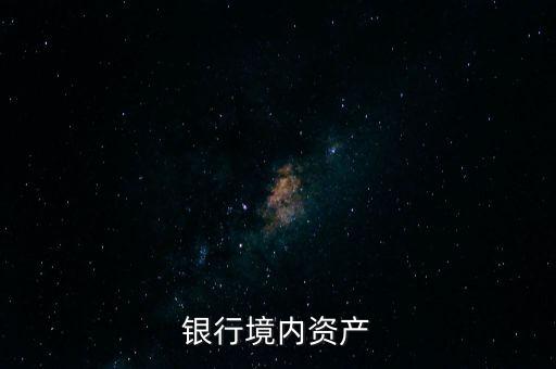 什么是本外幣資產(chǎn)總額，本外幣是什么意思