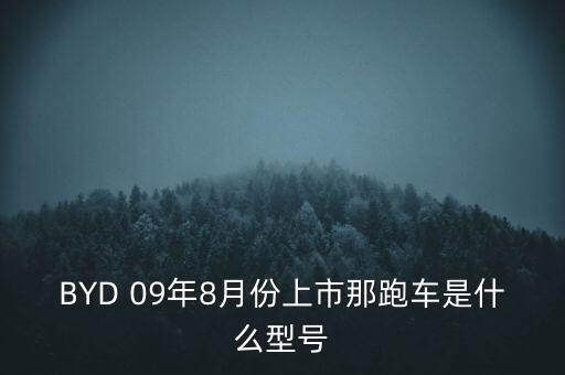 BYD 09年8月份上市那跑車(chē)是什么型號(hào)