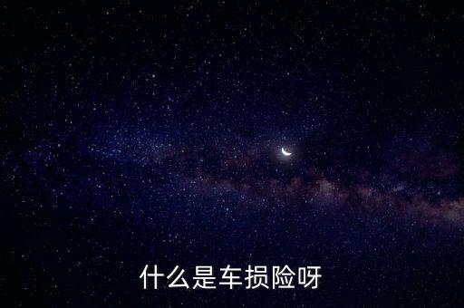 汽車(chē)車(chē)損險(xiǎn)是什么，汽車(chē)什么是車(chē)損險(xiǎn)定義