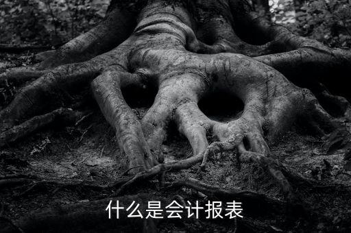 什么是會計報表