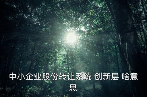 什么是浙江股權(quán)交易創(chuàng)新板，中小企業(yè)股份轉(zhuǎn)讓系統(tǒng) 創(chuàng)新層 啥意思