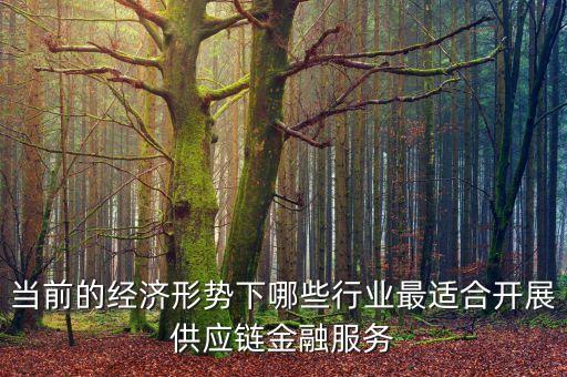 什么行業(yè)不適合產(chǎn)業(yè)鏈金融服務(wù)，產(chǎn)業(yè)鏈金融是什么