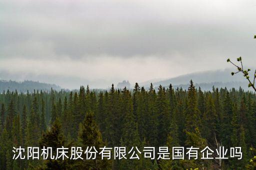 沈陽機床屬于什么股，沈陽機床股份有限公司是國有企業(yè)嗎