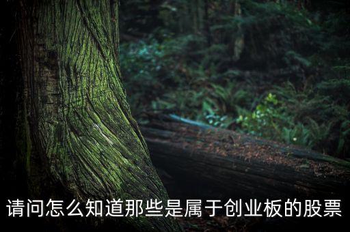 怎么知道創(chuàng)業(yè)板要出什么新股票，如何知道已經(jīng)開通創(chuàng)業(yè)板股票