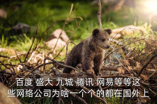 盛大為什么上市，百度 盛大 九城 騰訊 網(wǎng)易等等這些網(wǎng)絡(luò)公司為啥一個(gè)個(gè)的都在國(guó)外上