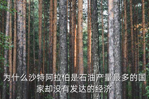 為什么沙特阿拉伯是石油產(chǎn)量最多的國家卻沒有發(fā)達的經(jīng)濟