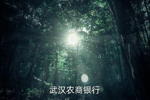 武漢農(nóng)商行的主要業(yè)務(wù)是什么，各銀行的主要業(yè)務(wù)以及業(yè)務(wù)范圍是什么