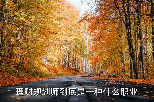 理財(cái)規(guī)劃師到底是一種什么職業(yè)