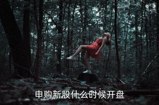 申購(gòu)新股什么時(shí)候開(kāi)盤(pán)