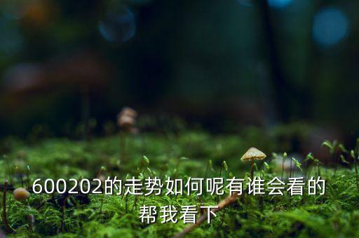 600202有什么概念，誰(shuí)能幫我分析一下600202