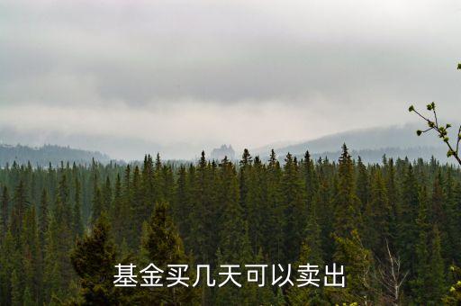 基金什么時(shí)候可以賣(mài)出，基金買(mǎi)進(jìn)后多久可以賣(mài)出