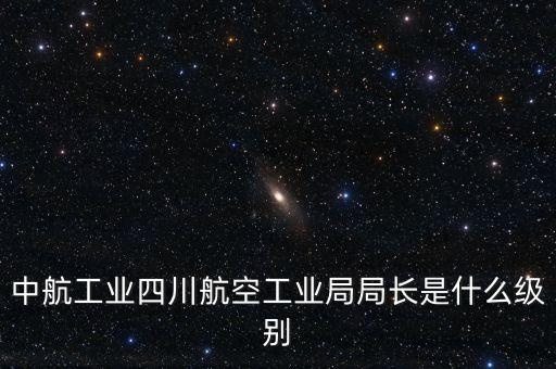 中航王斌什么級別，中航工業(yè)陜飛集團(tuán)董事長是什么行政級別