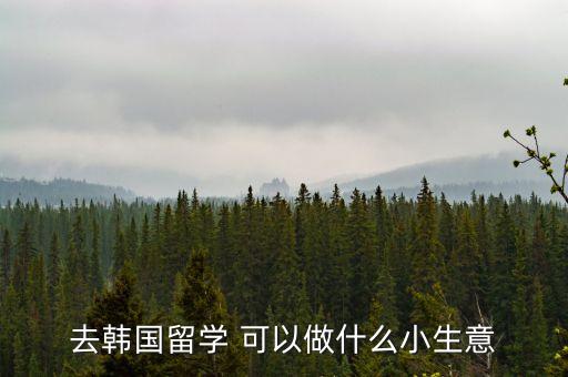 去韓國留學 可以做什么小生意