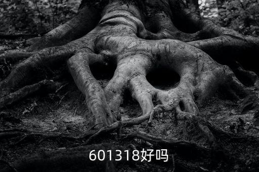 601318是什么股，601318好嗎