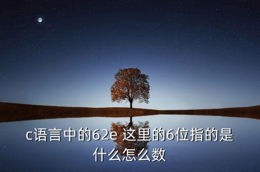 什么是dde散戶數(shù)量，c語言中的62e 這里的6位指的是什么怎么數(shù)