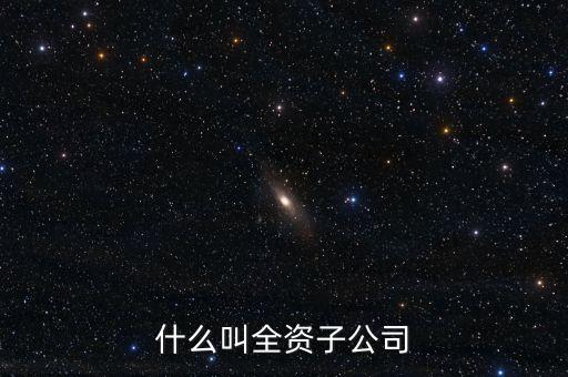 什么叫全資子公司