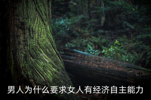 經(jīng)濟(jì)自主性是什么意思，什么是經(jīng)濟(jì)自主性