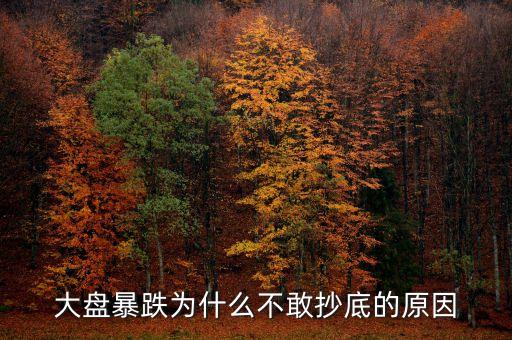 大盤(pán)暴跌為什么不敢抄底的原因
