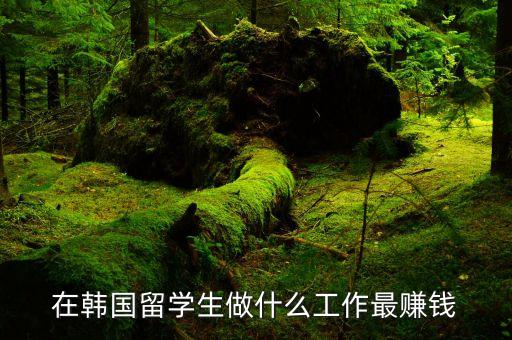 在韓國留學生做什么工作最賺錢