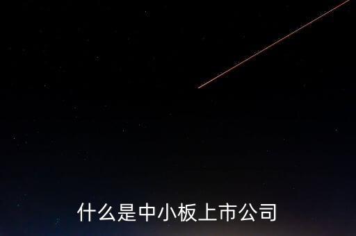 中小板指是什么，什么是中小板上市公司