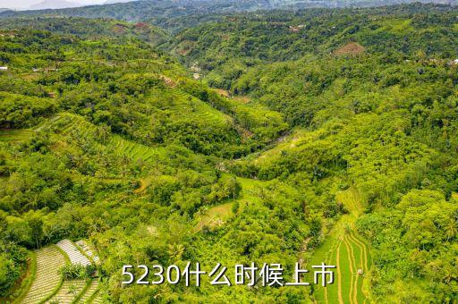 豐元股份什么時(shí)間上市，000752股票什么時(shí)候發(fā)行的