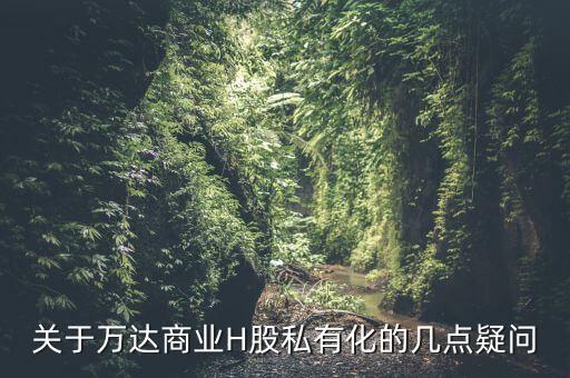 萬達商業(yè)私有化是什么意思，關于萬達商業(yè)H股私有化的幾點疑問
