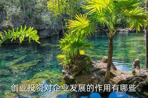 創(chuàng)業(yè)投資對(duì)企業(yè)發(fā)展的作用有哪些