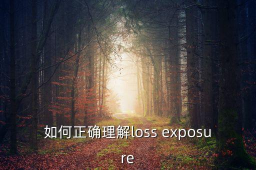 如何正確理解loss exposure