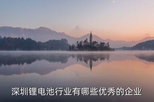 多氟多的電池是什么牌子，六氟磷酸鋰的生產(chǎn)廠家有哪些