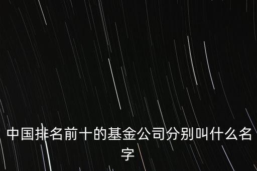 中國(guó)排名前十的基金公司分別叫什么名字