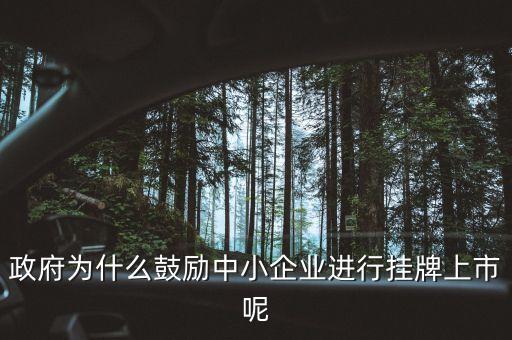 政府為什么鼓勵中小企業(yè)進行掛牌上市呢