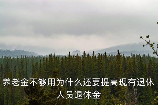 養(yǎng)老金不夠用為什么還要提高現(xiàn)有退休人員退休金