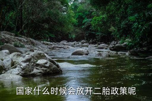 國(guó)家什么時(shí)候會(huì)放開二胎政策呢