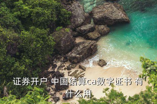 證券開戶 中國結(jié)算ca數(shù)字證書 有什么用