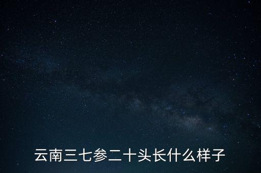 云南三七參二十頭長(zhǎng)什么樣子