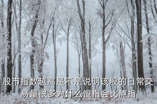 恒生指數(shù)為什么那么高，請問香港恒生指數(shù)為什么點位那么高