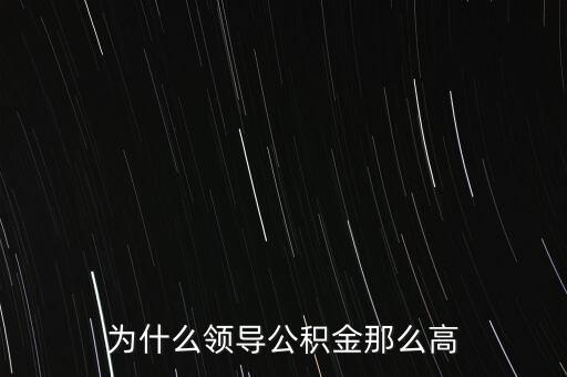 為什么領導公積金那么高
