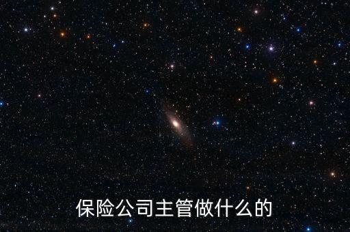 保險(xiǎn)公司主管做什么的