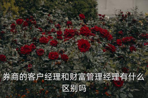 財(cái)富經(jīng)理是干什么的，嘉實(shí)財(cái)富的理財(cái)經(jīng)理主要負(fù)責(zé)什么應(yīng)聘這個(gè)職位都需要具備哪些條件