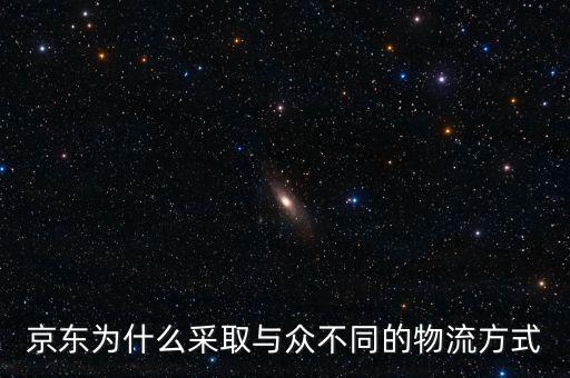京東為什么采取與眾不同的物流方式