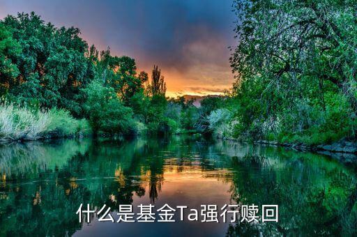 基金強贖是什么意思，什么是基金Ta強行贖回