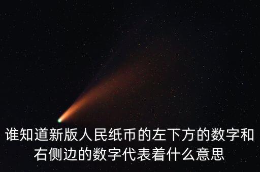 誰知道新版人民紙幣的左下方的數(shù)字和右側(cè)邊的數(shù)字代表著什么意思