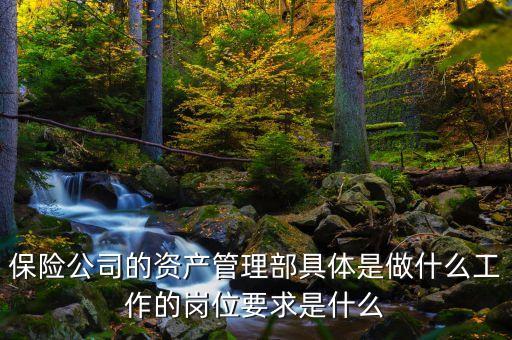 保險(xiǎn)公司資管做什么，保險(xiǎn)公司的資產(chǎn)管理部具體是做什么工作的崗位要求是什么