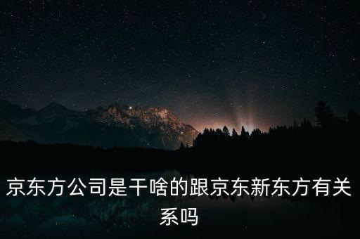 為什么加入京東方，京東方是做什么的