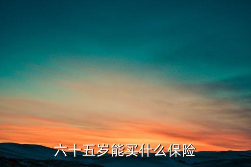 六十五歲能買什么保險