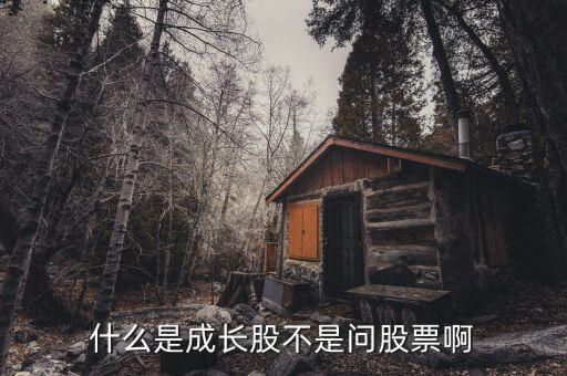 什么是成長股不是問股票啊