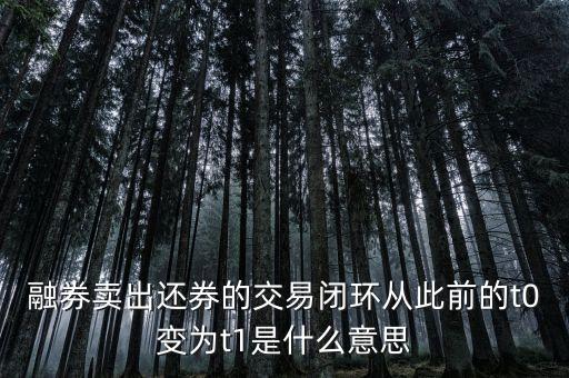 融券賣出還券的交易閉環(huán)從此前的t0變?yōu)閠1是什么意思